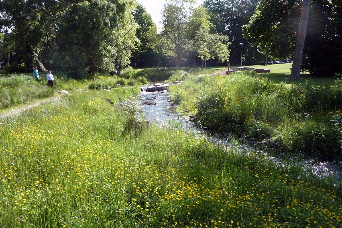 Wassererlebnis Schwalm Stadtpark Wegberg